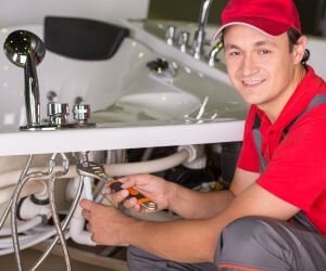 About Plumbers Pros Newtonsville, OH